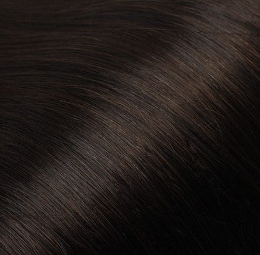 ETERNA MEDUSA WEFT XL